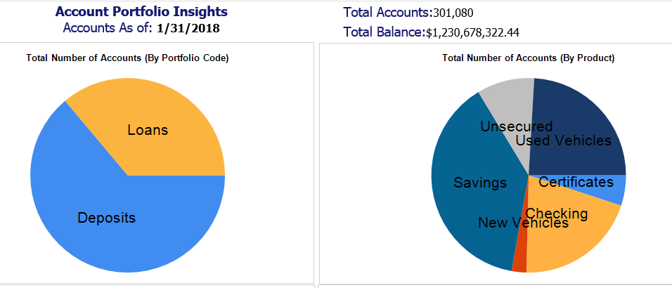Account Portfolio Insights - Total Number of Accounts (By Product)