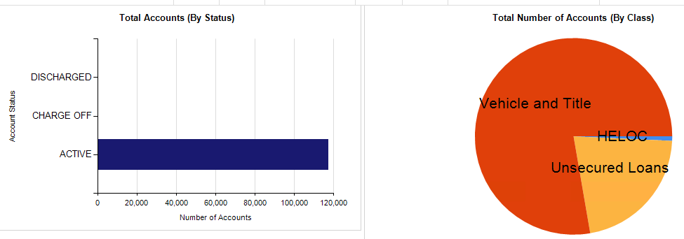 Account Portfolio Insights - Total Number of Accounts (By Class)